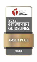 GWTG_STROKE-PLUS_2023_Gold_4C.jpg GWTG_STROKE-PLUS_2023_Gold_4C.jpg